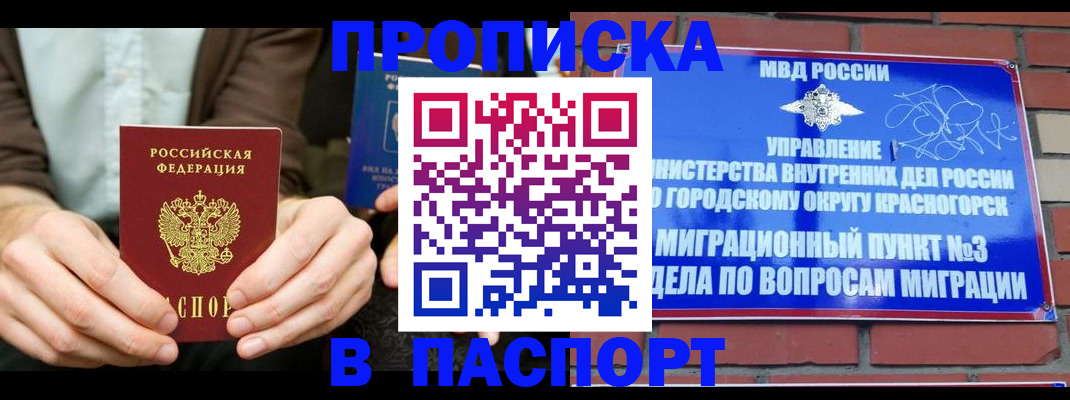 где прописаться в Дмитрове